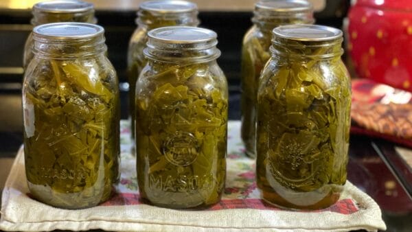 How to Can Collard Greens Southern Style (with Ham Hocks or side meat) 2 Canning Collard Greens with Seasoned Broth