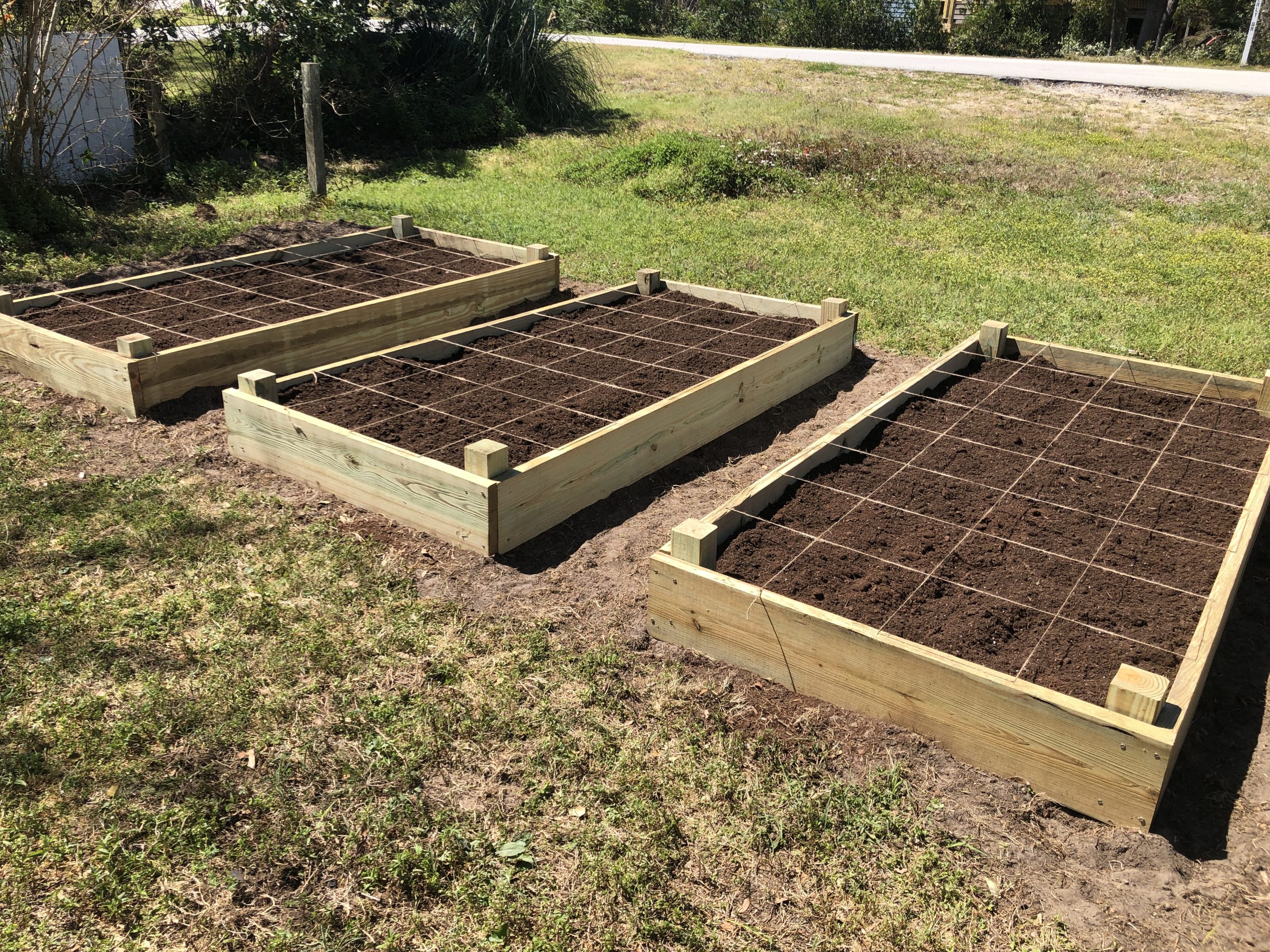 Raised beds marked off for square-foot gardening
