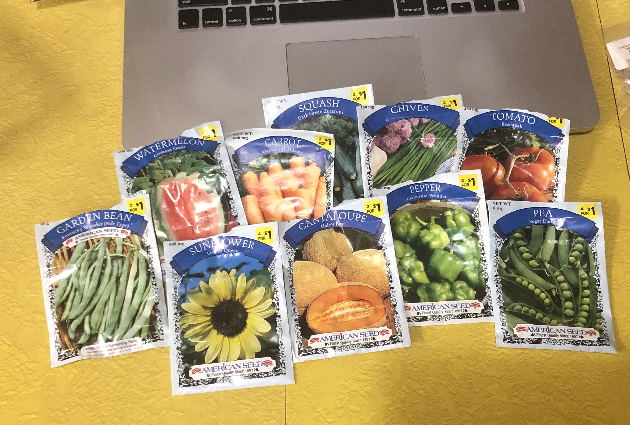 American Seed brand seeds from Dollar General