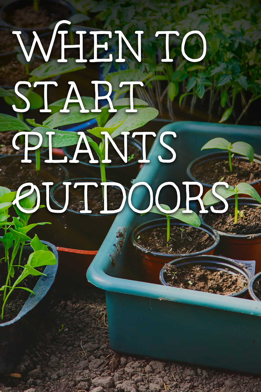 When to start plants outdoors