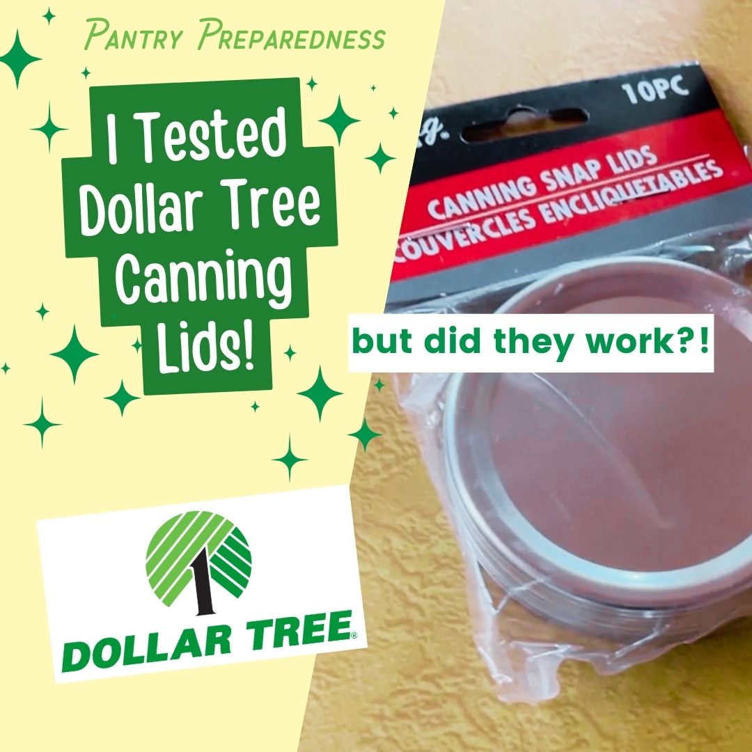 Do Dollar Tree canning lids work? I had to test them for my own food storage!