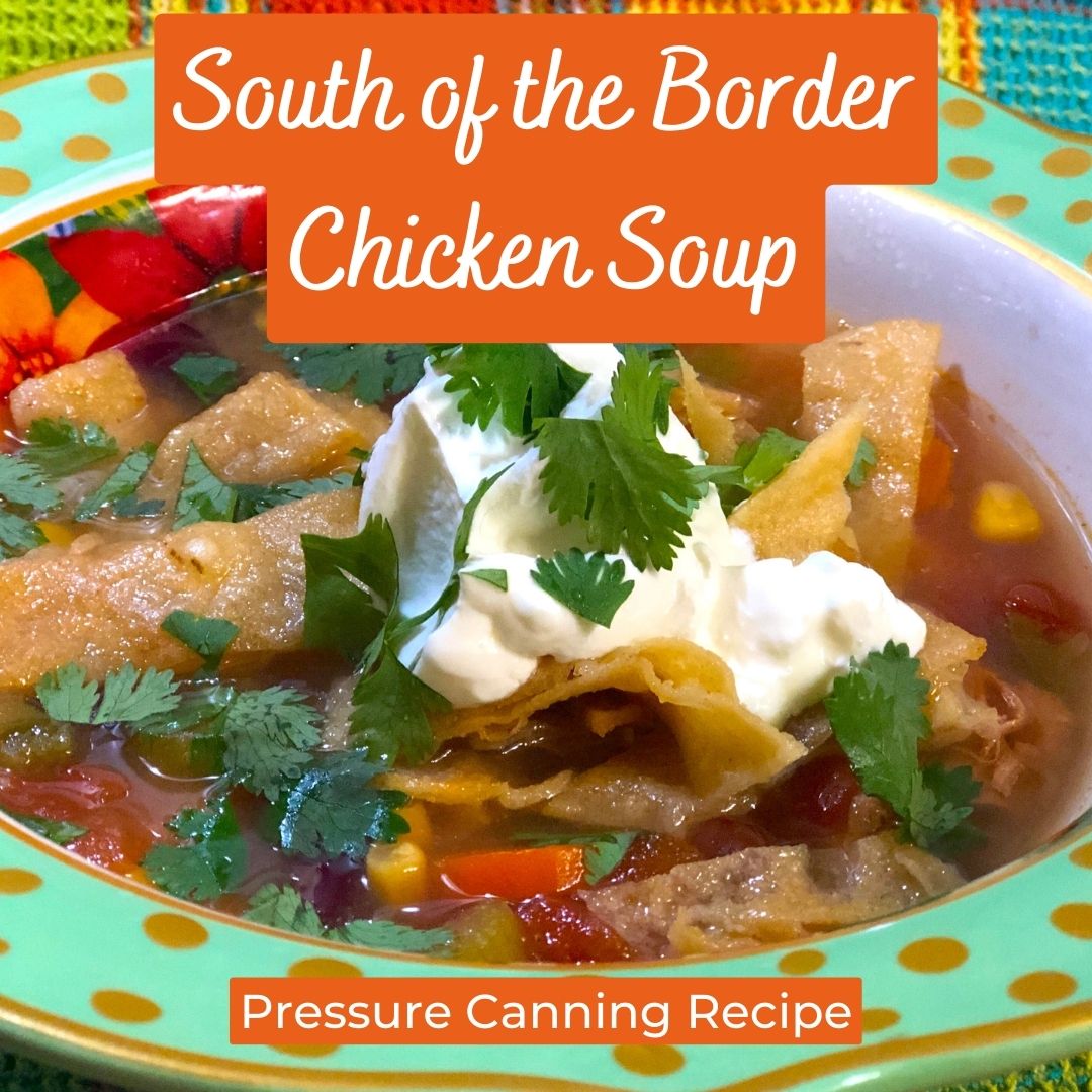 South of the Border Chicken Soup