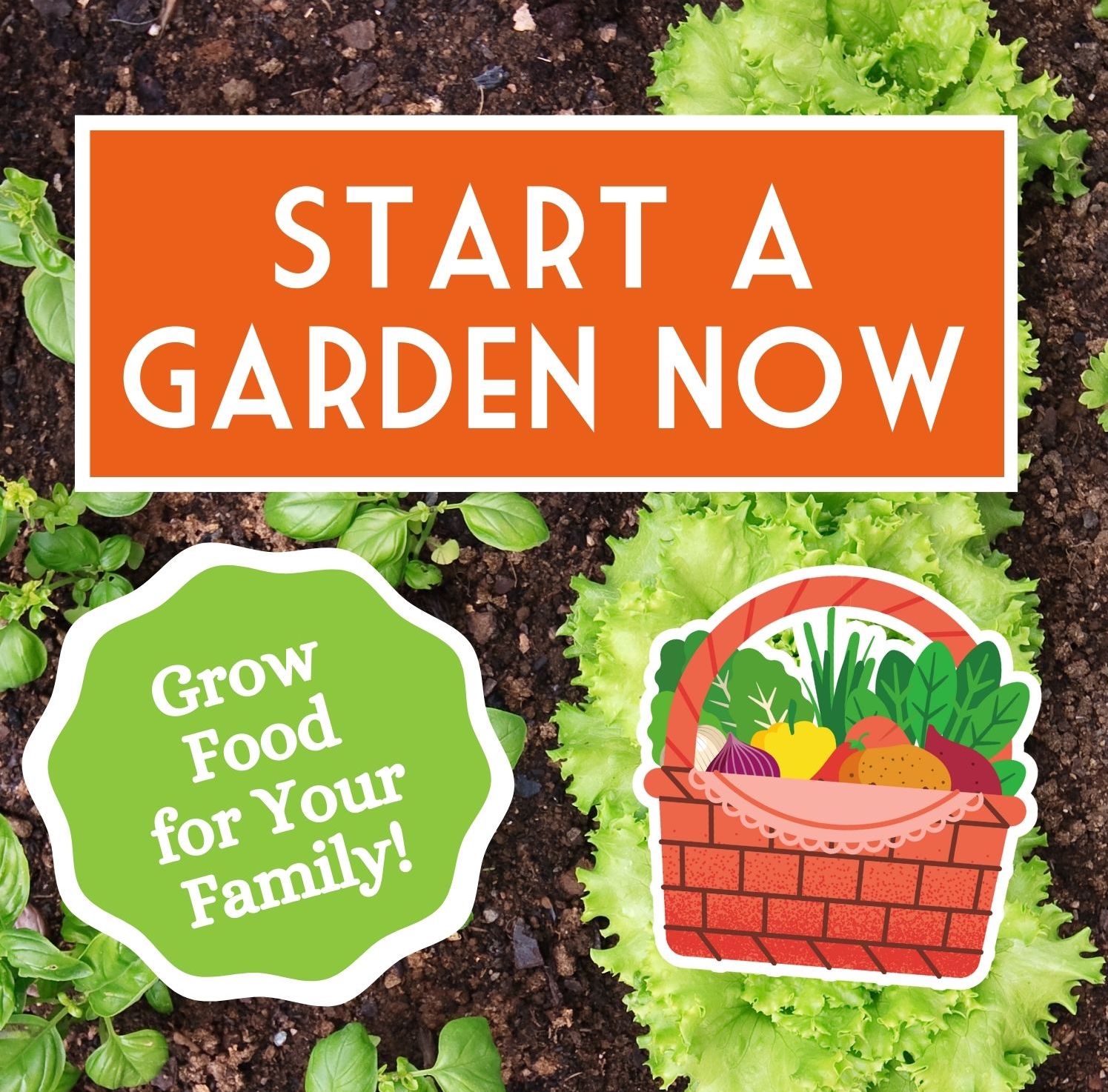 DON’T WAIT! It’s time to start your garden NOW! Lower your grocery bill by growing your own food!