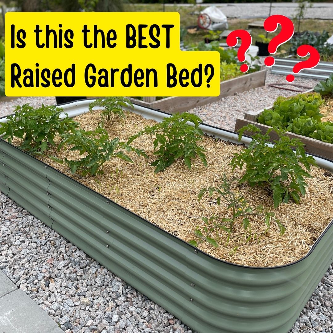 Is this the best bed for raised bed gardening?